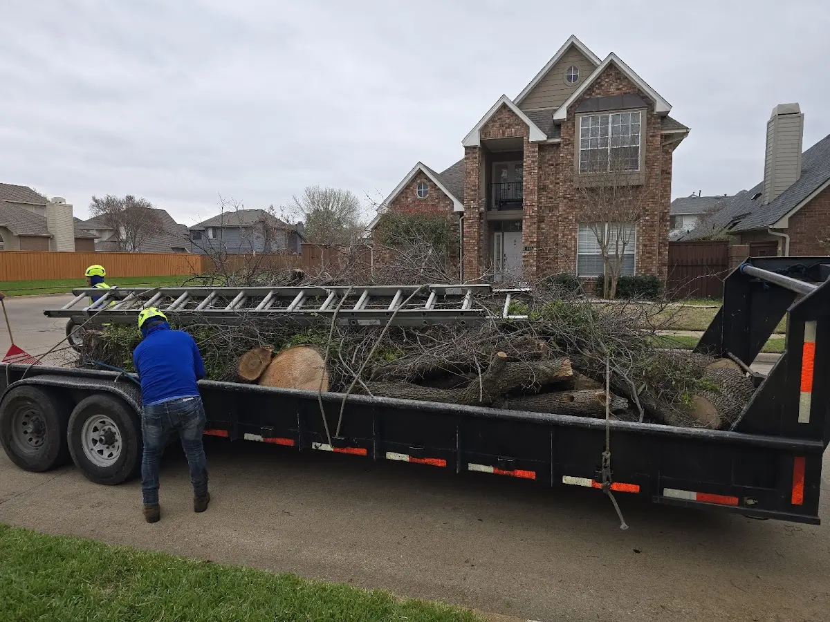 Expert Tree Removal with proper safety equipment in Du Pont
